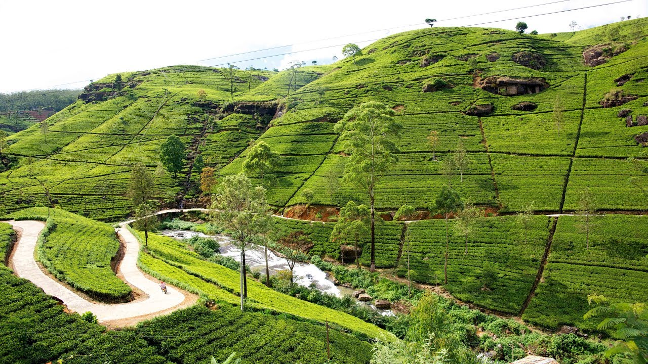 Nuwara Eliya.jpg